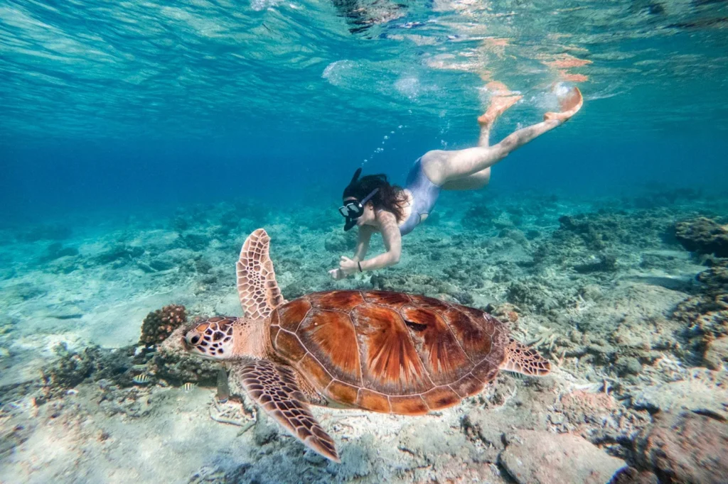Gili Trawangan tour package