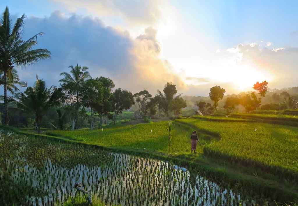 Tete Batu