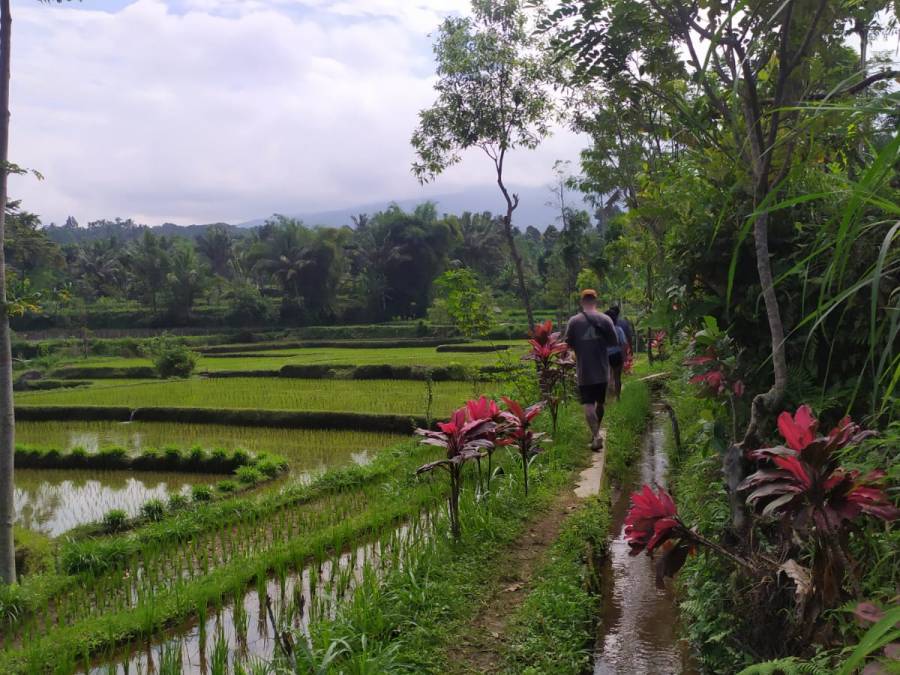 Tete Batu