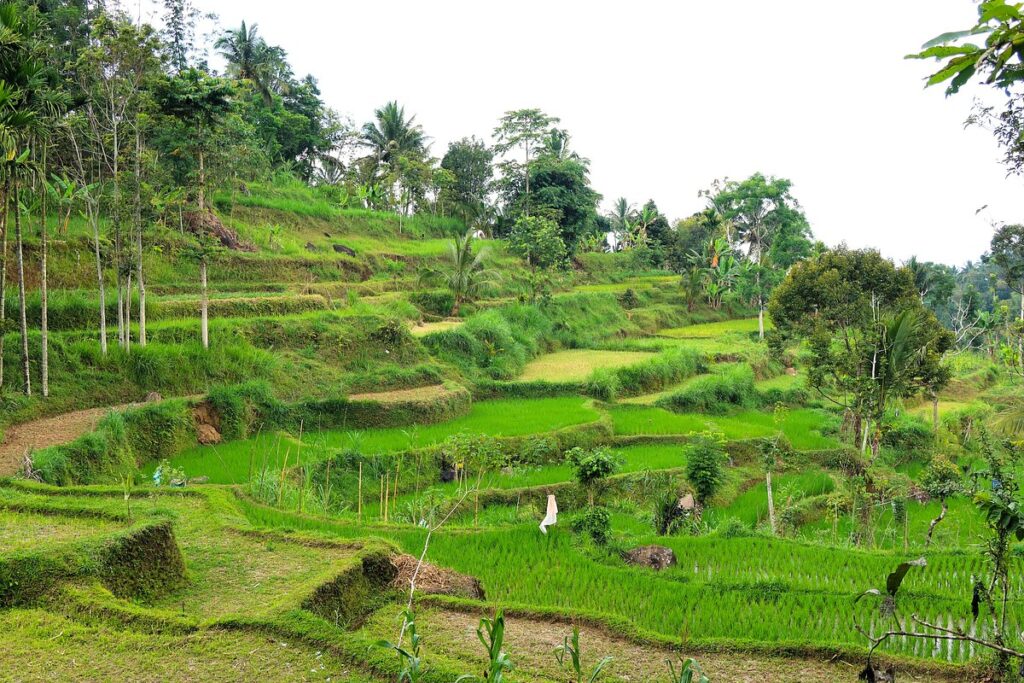 Tetebatu Lombok