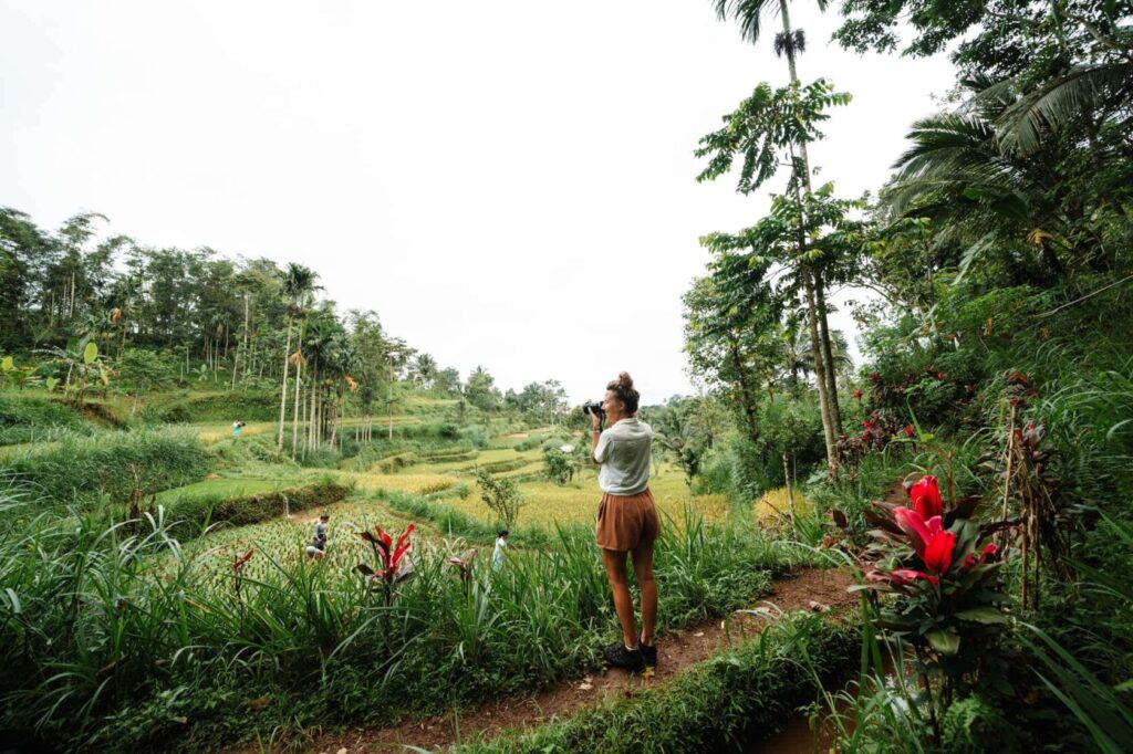 Tetebatu Monkey Forest Gate