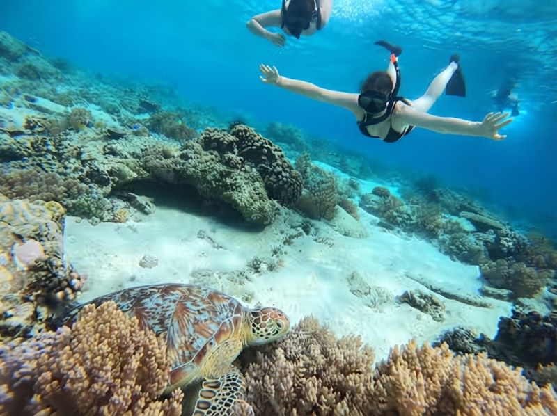 Gili Meno snorkeling