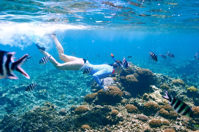 gili t day trip