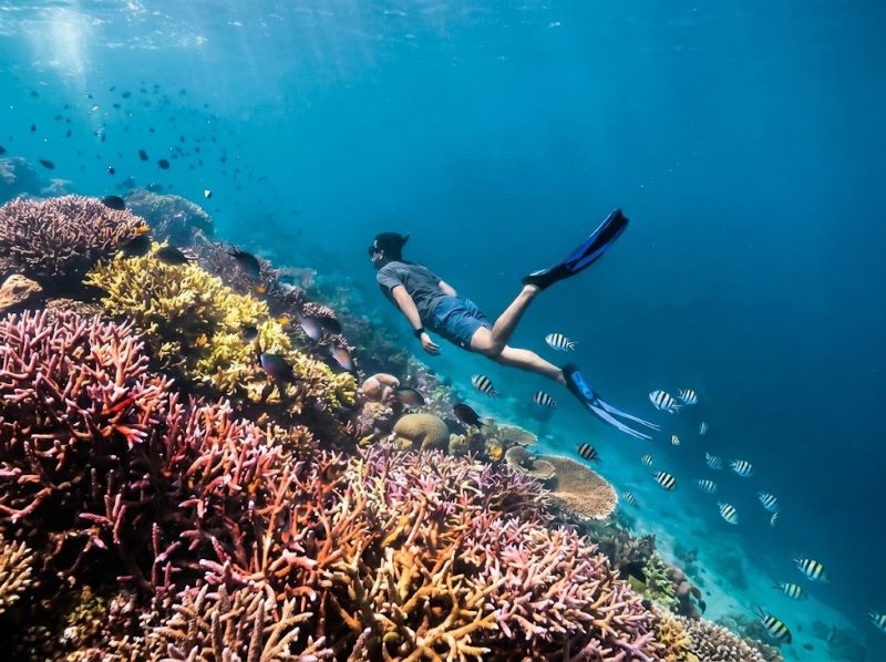 Gili Trawaangan snorkeling trip