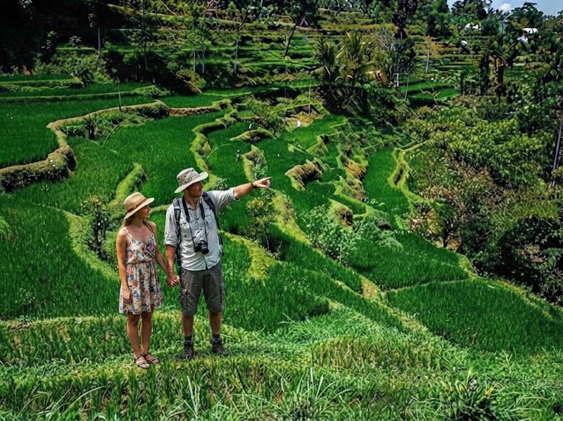 Rice terraces Tetebatu
