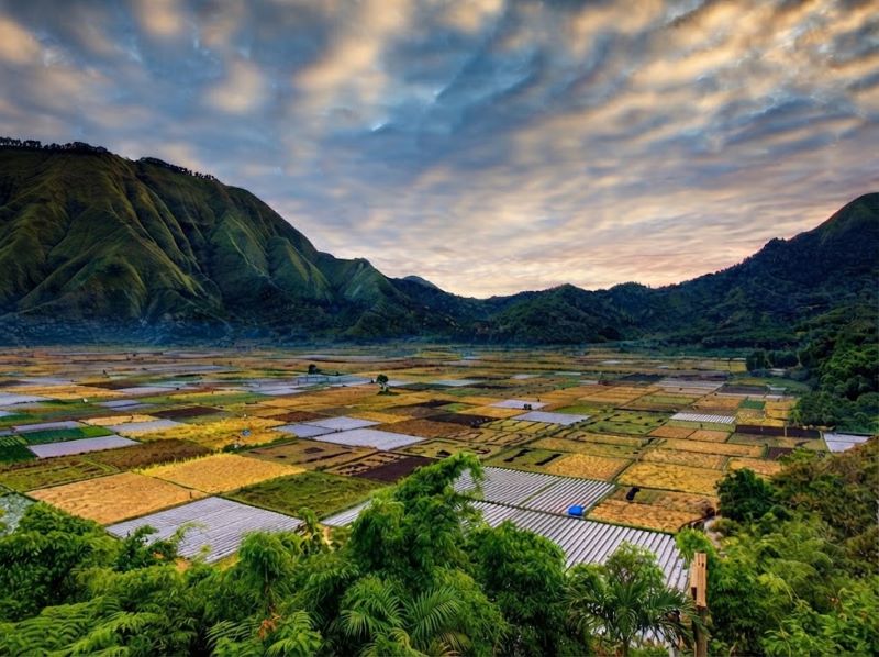 Senaru Lombok