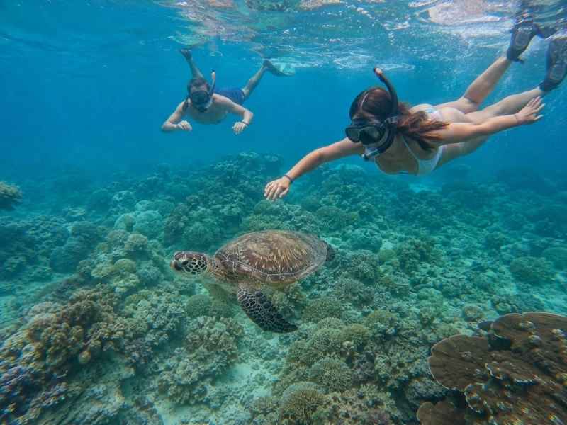 Snorkeling with a sea turtle near Gili Trawangan coral reefs