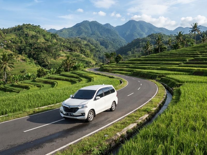 Tetebatu Rice Terraces