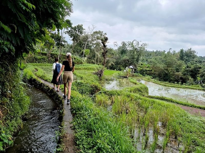 Tetebatu soft trekking