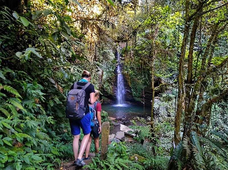 Tetebatu trekking guide