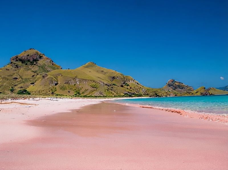 day trip to Pink Beach Lombok