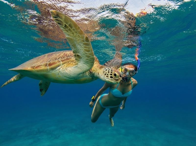 gili snorkeling