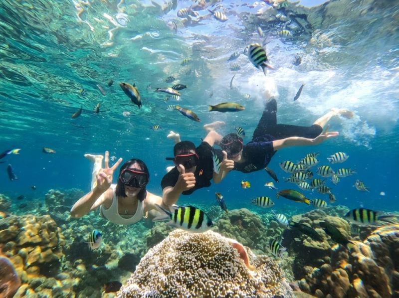 private gili island snorkeling trip
