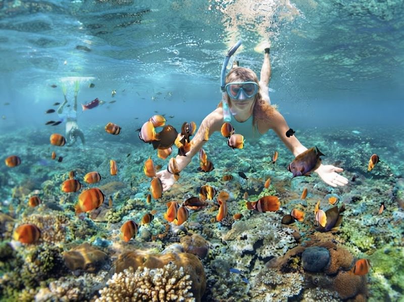 snorkeling gili island