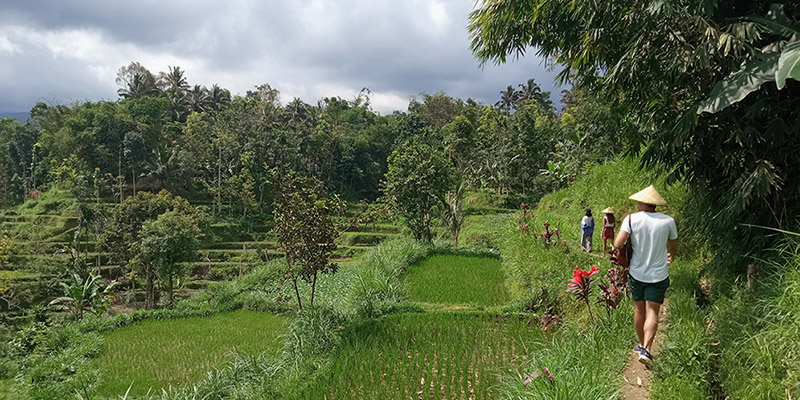 tetebatu local guide