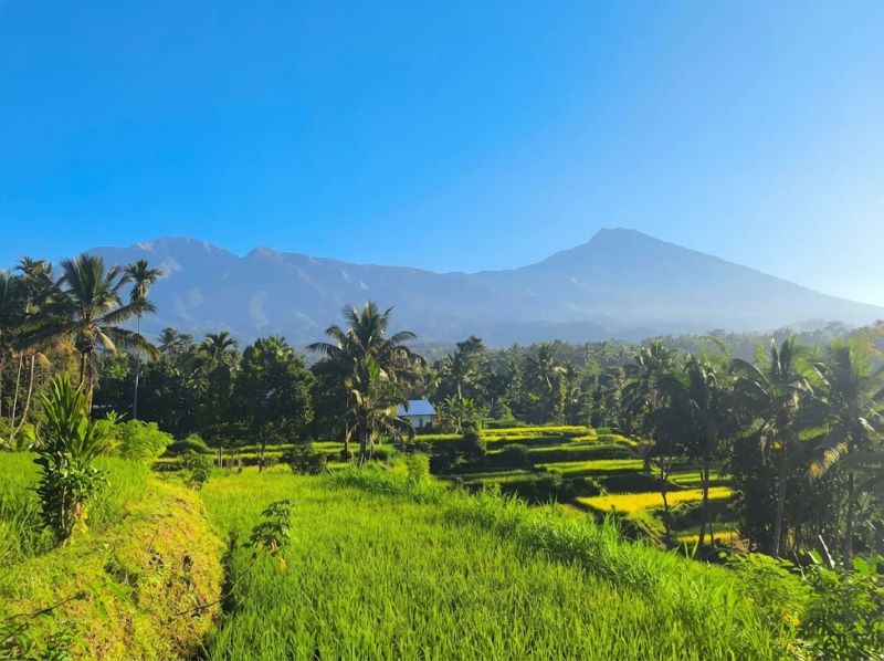 Desa-Tetebatu