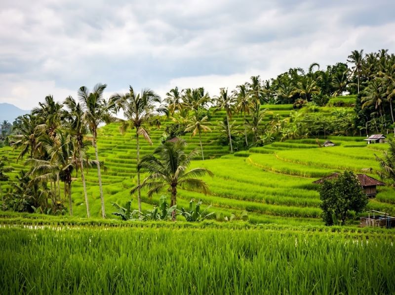 Desa Tetebatu Worth a Full Day