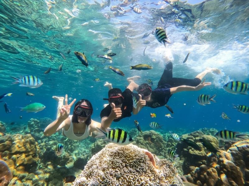 Gili T snorkeling day trip enjoyable
