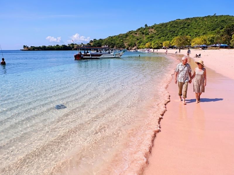 Lombok tour Pink Beach