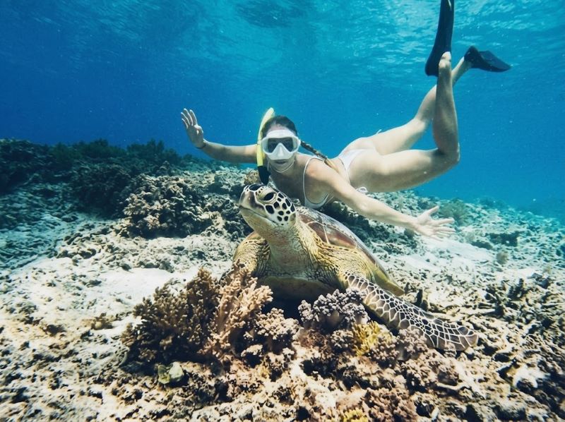 One Day Enough for Gili Trawangan and Snorkeling
