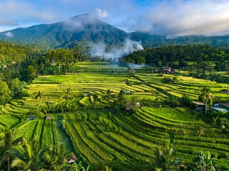 best Tetebatu guide price