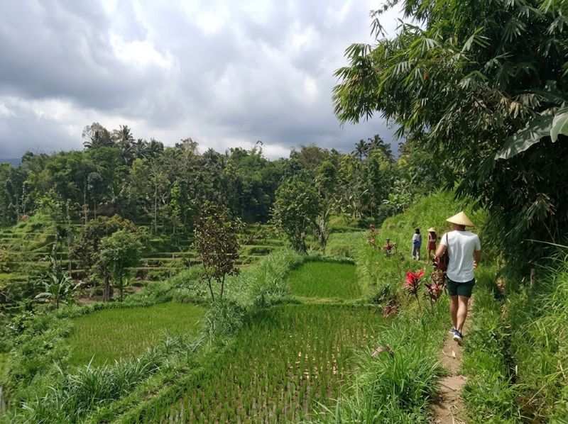 how to plan Desa Tetebatu