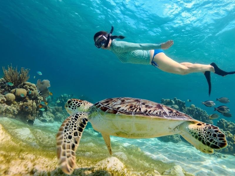 snorkeling gili island