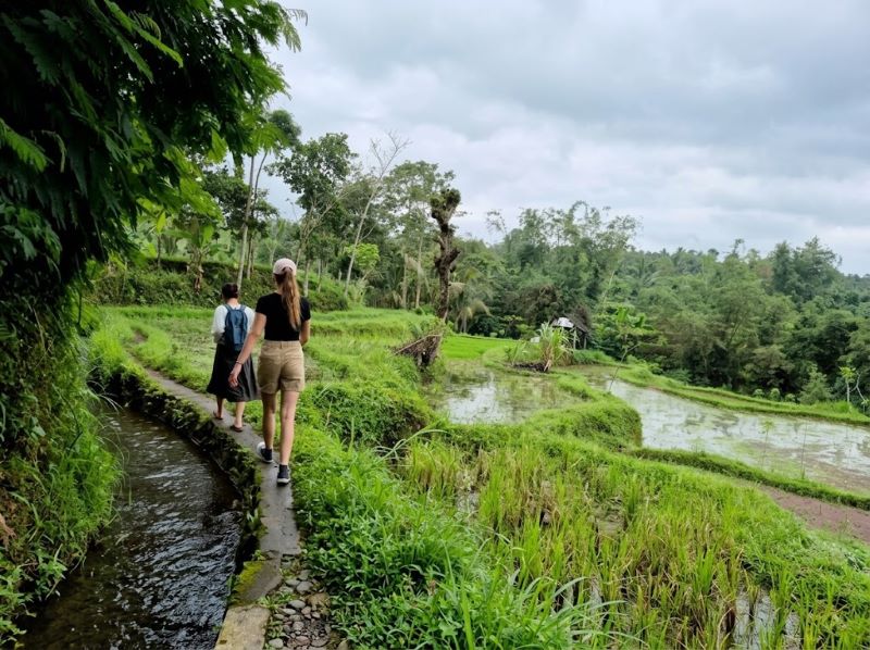 walking Tetebatu