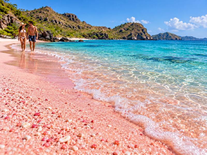 Close up of natural pink sand mixed with reddish coral fragments at Tangsi Beach Lombok