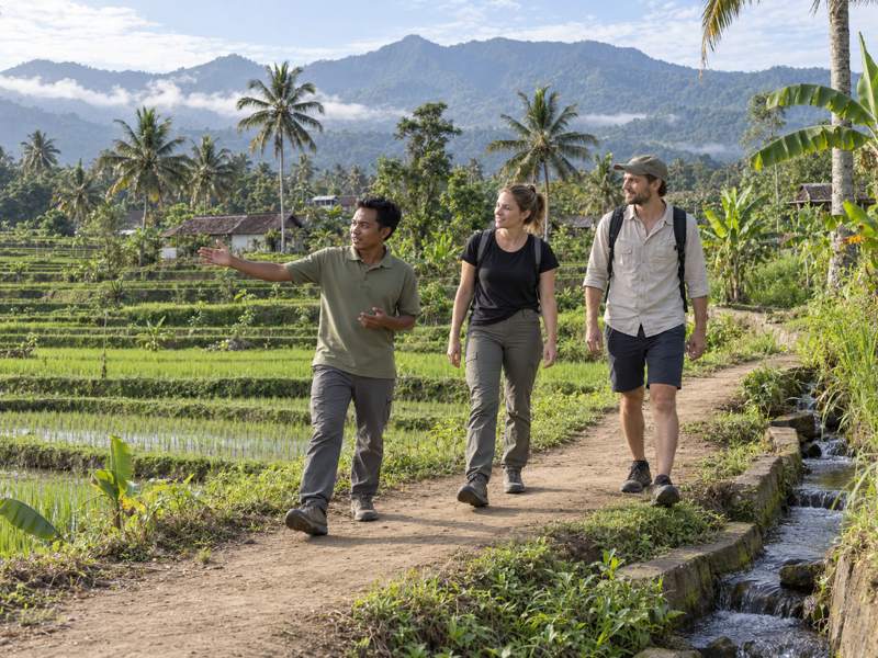 Local guide accompanying visitors along a Tetebatu rice field path