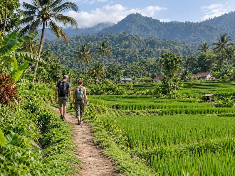 Narrow walking path between rice fields in Tetebatu Lombok