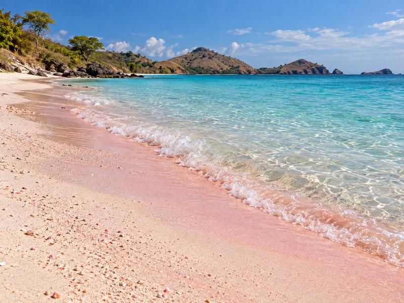 Soft pink sand beside clear water at Pink Beach Lombok