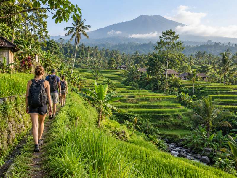 Travelers walking along scenic rice terraces in Tetebatu Lombok