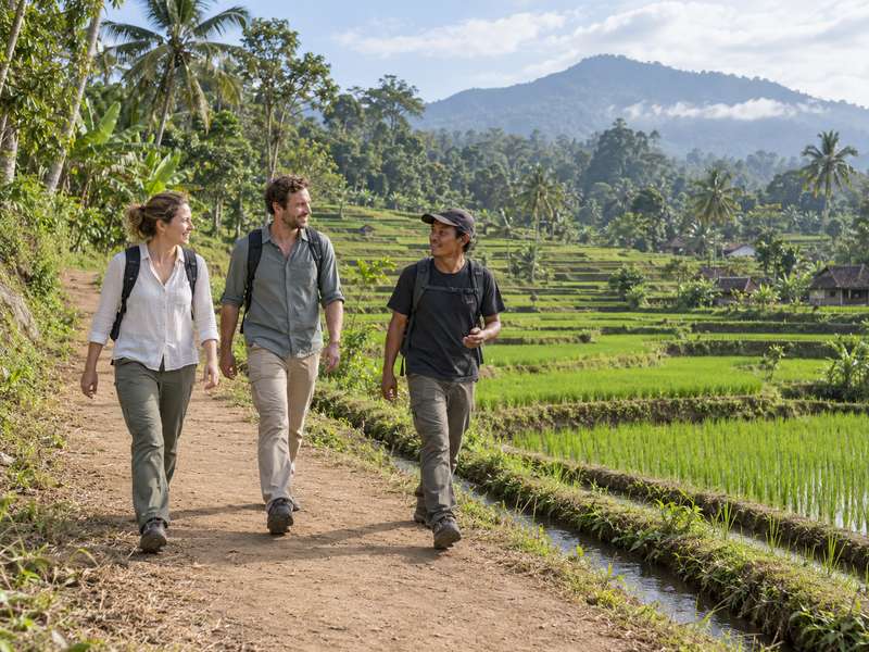 Travellers walking beside Tetebatu rice terraces