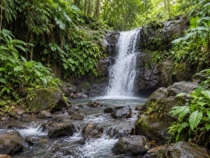 Waterfall surrounded by green vegetation near Tetebatu