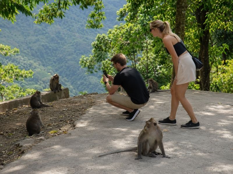 Couple visiting Pusuk Lombok monkey forest