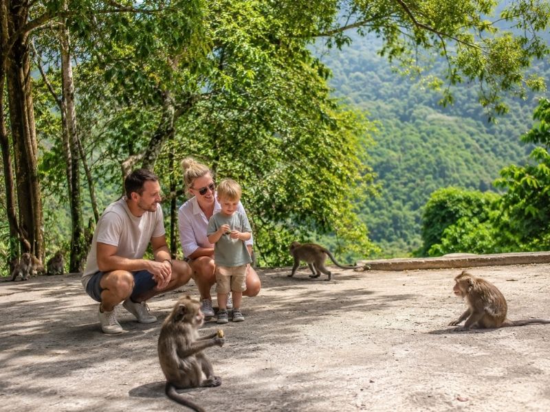 Family trip at Pusuk Lombok monkey forest