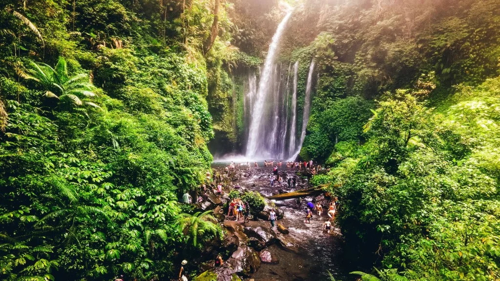 Lombok forest tour