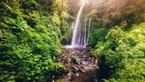 Lombok forest tour