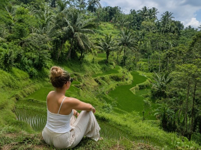 Lombok waterfall and monkey forest day trip
