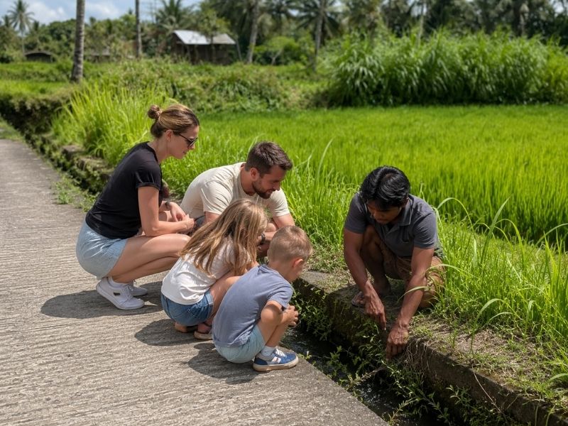 Tetebatu rice field family tour