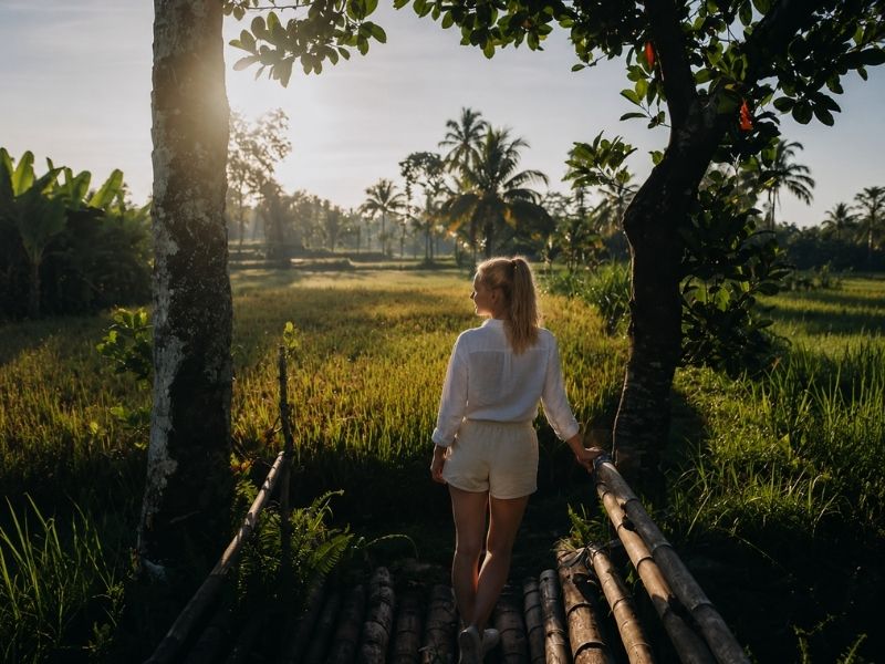 Tetebatu rice field sunset walk