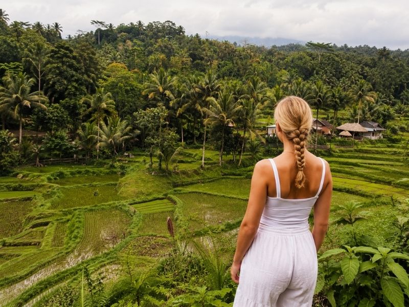 Tetebatu rice terrace view