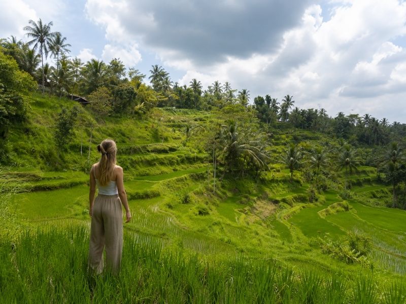 Tetebatu rice terrace viewpoint