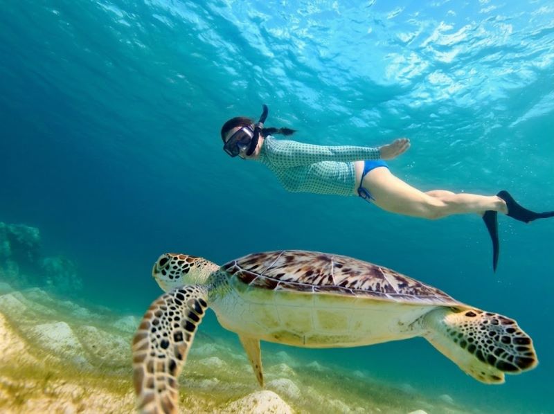 Gili Islands snorkeling trip