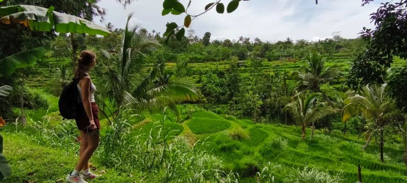 Tetebatu local guide