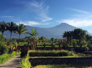 Desa Tetebatu