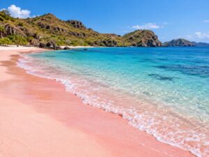 Pink Sand Beach Lombok
