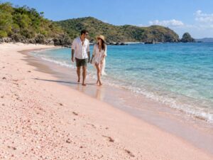 why is pink beach pink